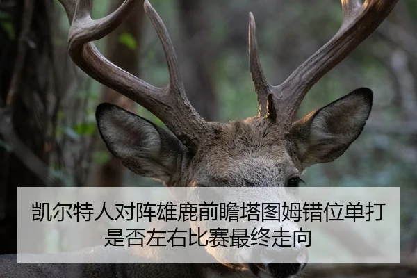 凯尔特人对阵雄鹿前瞻塔图姆错位单打是否左右比赛最终走向