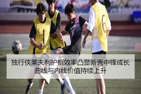 独行侠莱夫利护框效率凸显新秀中锋成长曲线与内线价值持续上升